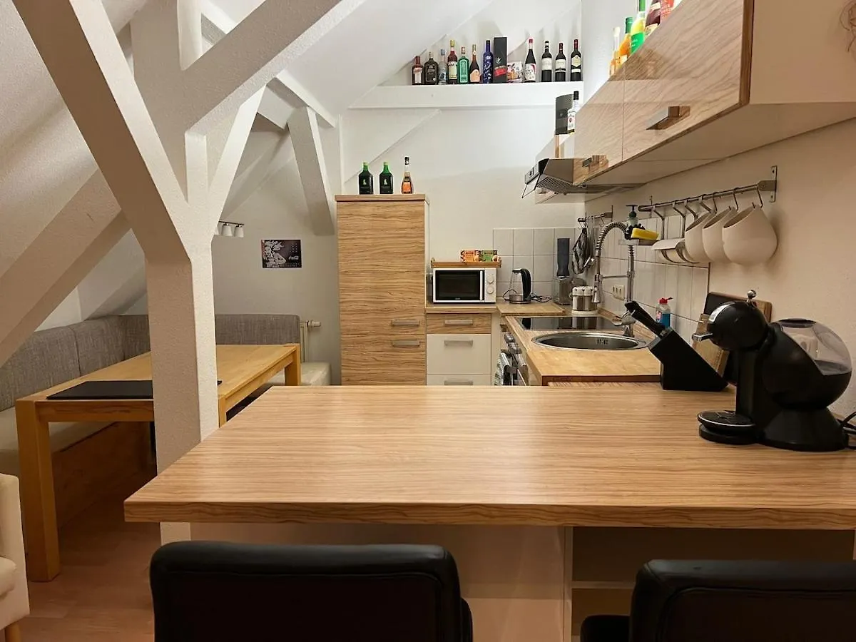 3 Zimmer Wohnung Am Grossen Garten Dresden Germany