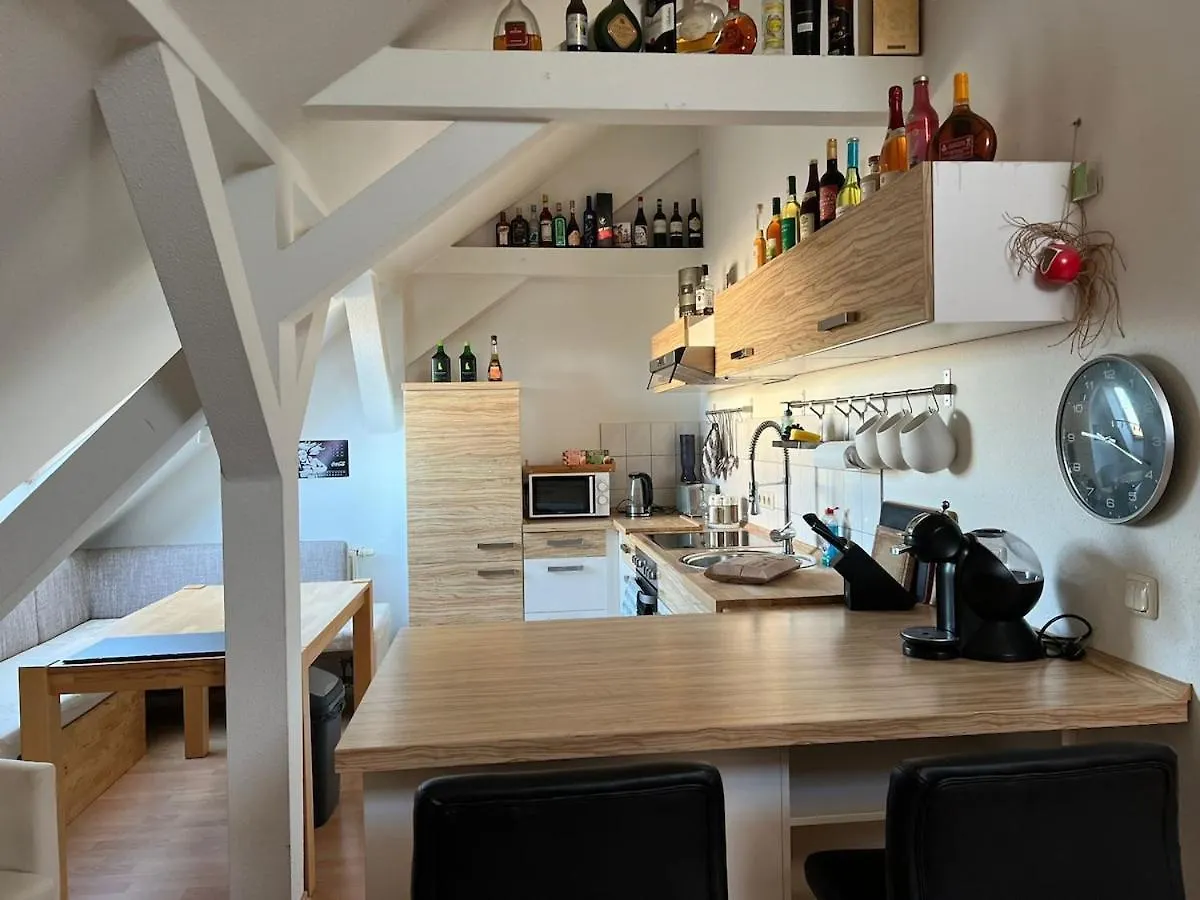 3 Zimmer Wohnung Am Grossen Garten Dresden Germany