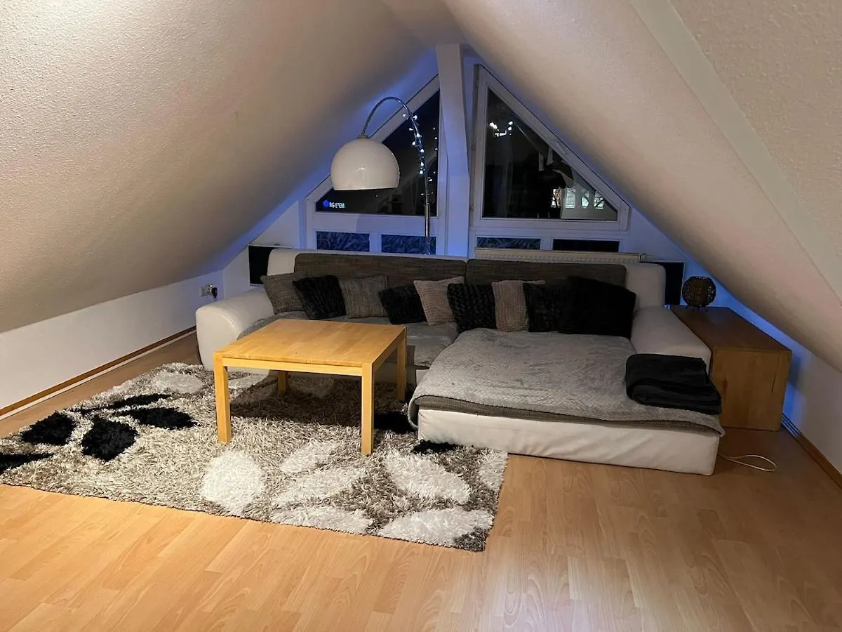3 Zimmer Wohnung Am Grossen Garten Dresden