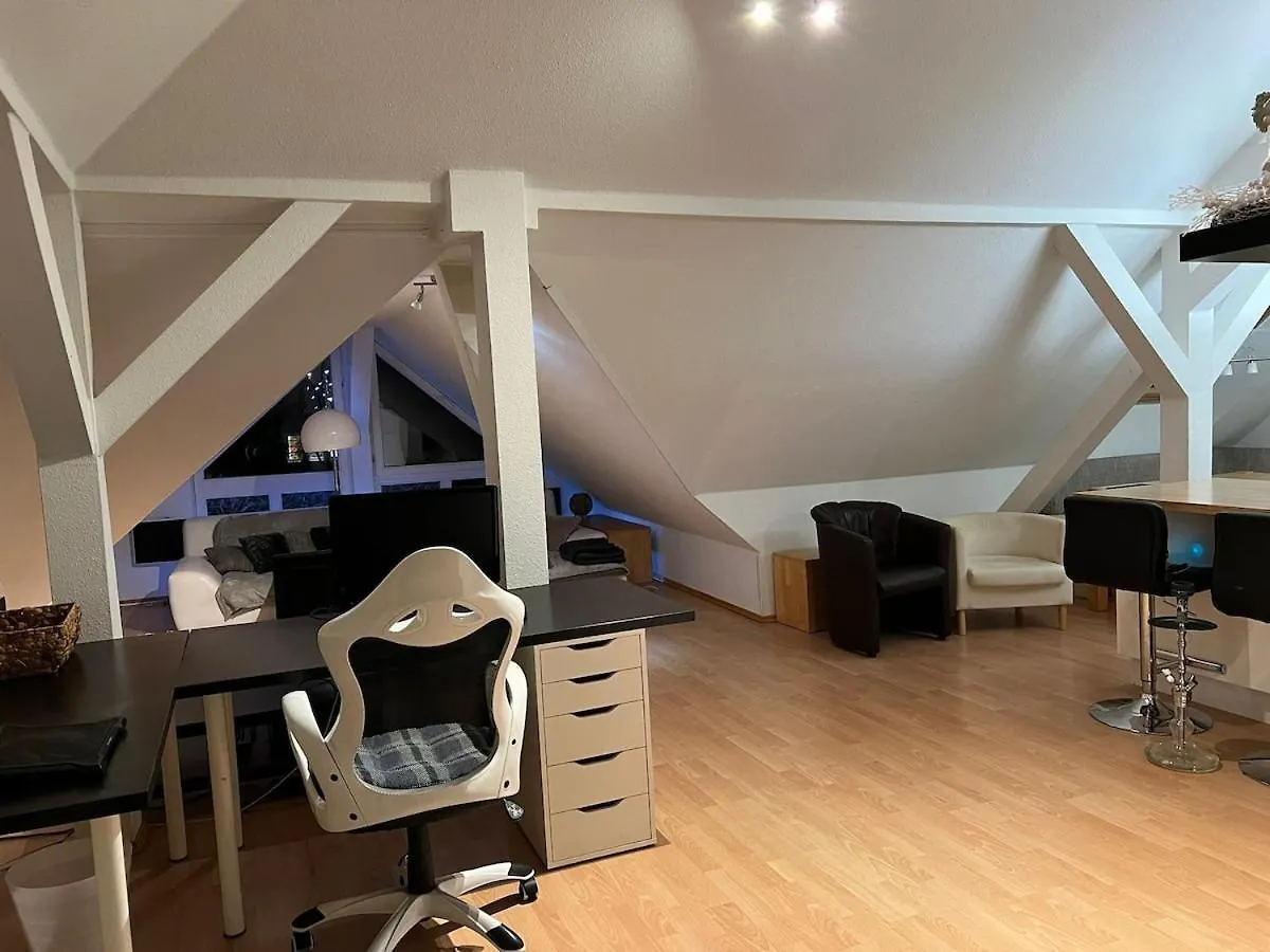 Apartment 3 Zimmer Wohnung Am Grossen Garten Dresden