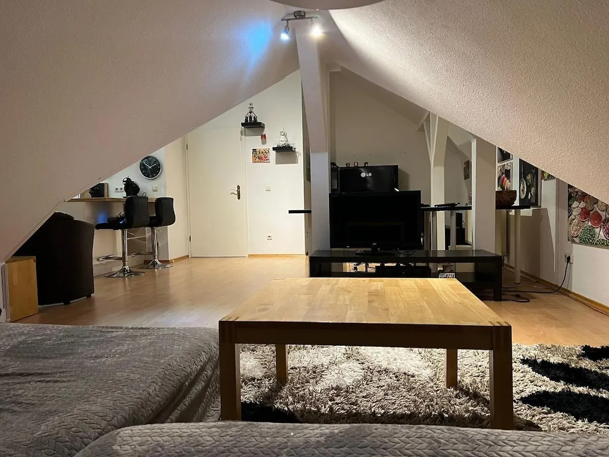 3 Zimmer Wohnung Am Grossen Garten Dresden