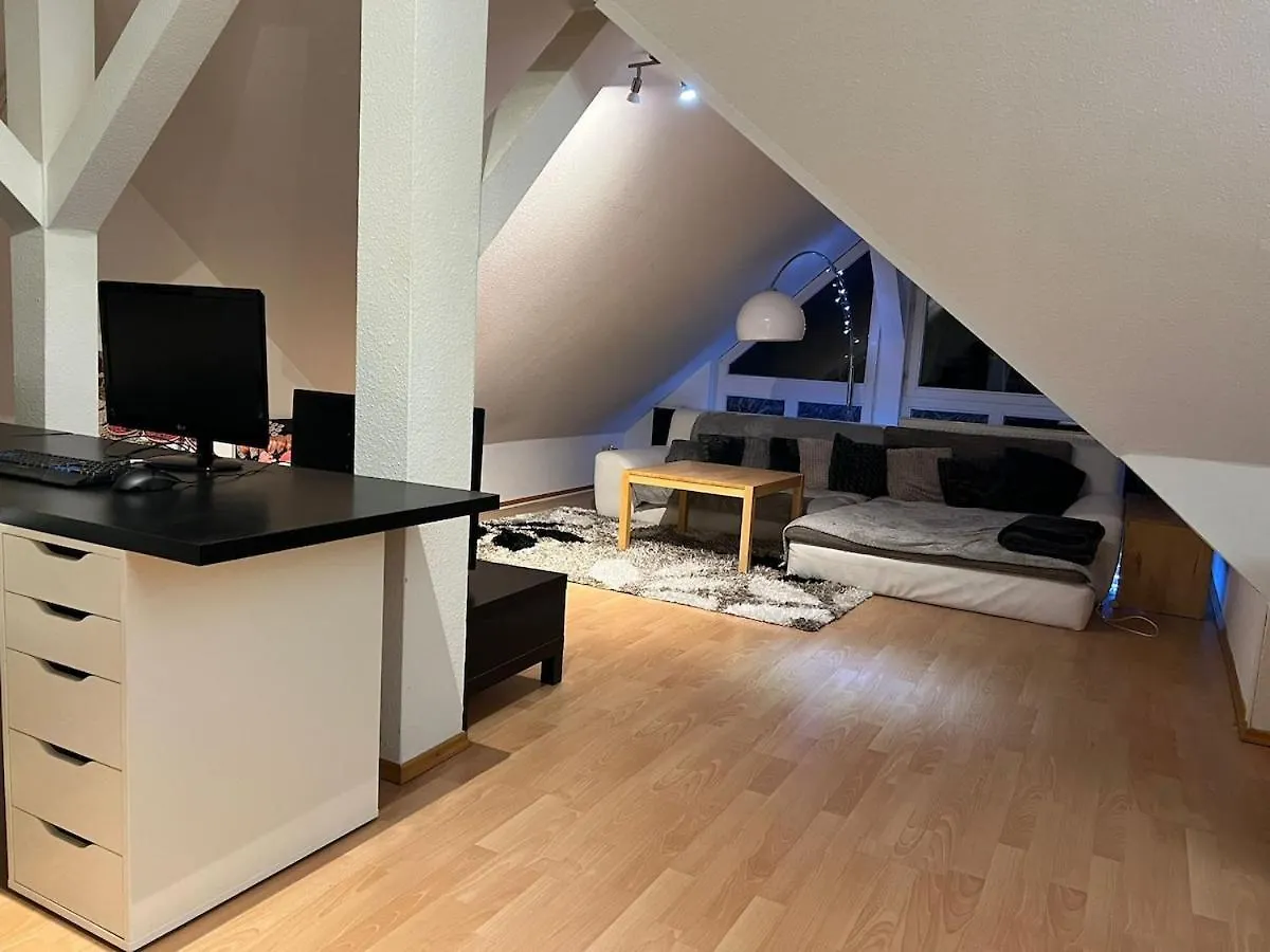 3 Zimmer Wohnung Am Grossen Garten Dresden